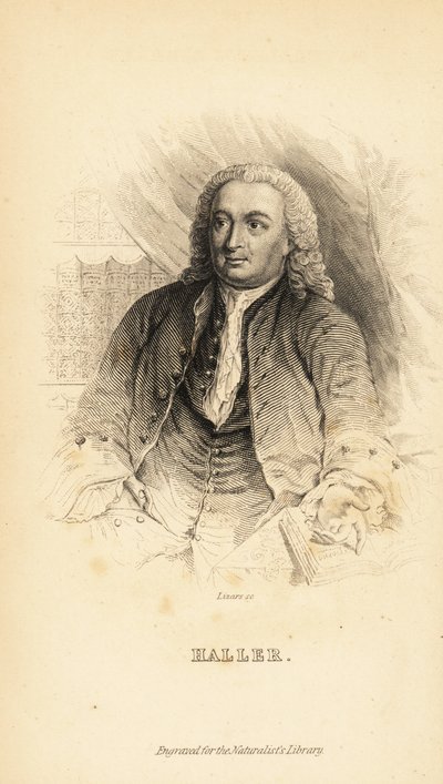 Albrecht von Haller, anatomiste, naturaliste et poète suisse, 1708-1777 - Unknown